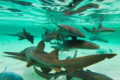Maldives Adventure Trip